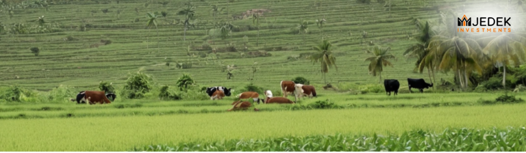 Profitable Farmland as an Investment in Dominican Republic, including key opportunities, tax incentives, & bio-certification for high ROI